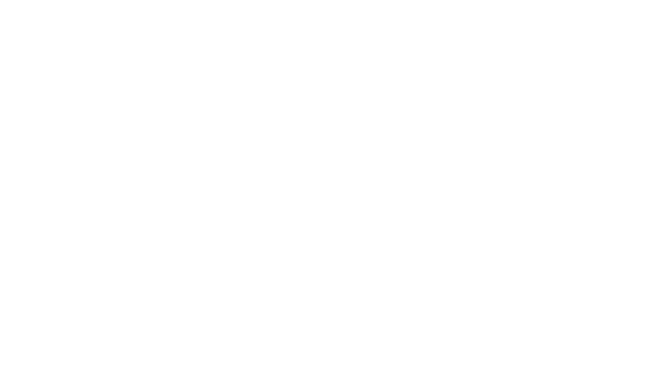 ROBIN DU BOIS